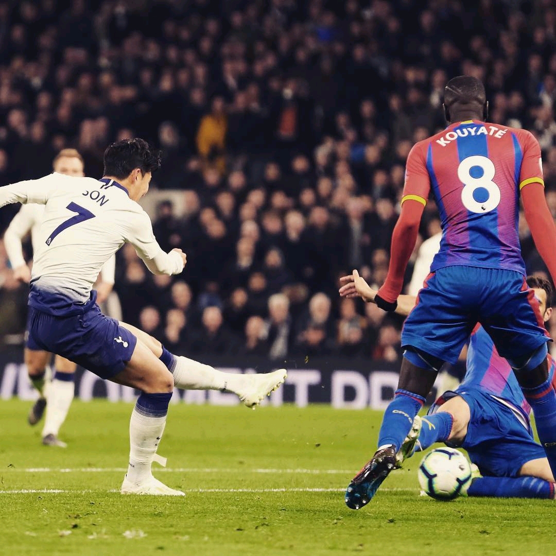 米特里策登 米特里策登